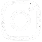Instagram Icon